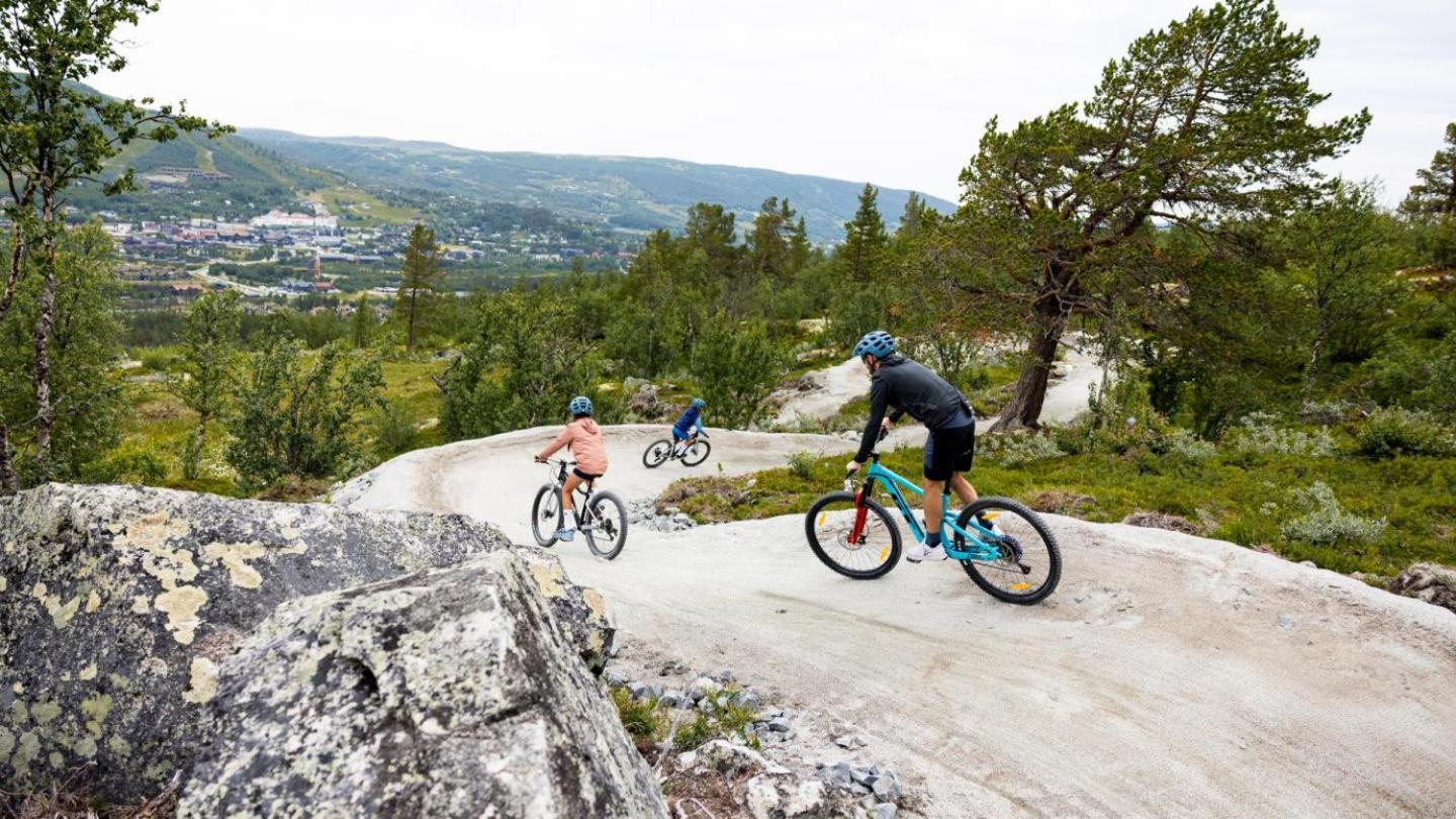 Koselig Hytte Med Usjenert Og Solrik Beliggenhet Geilo Extérieur photo