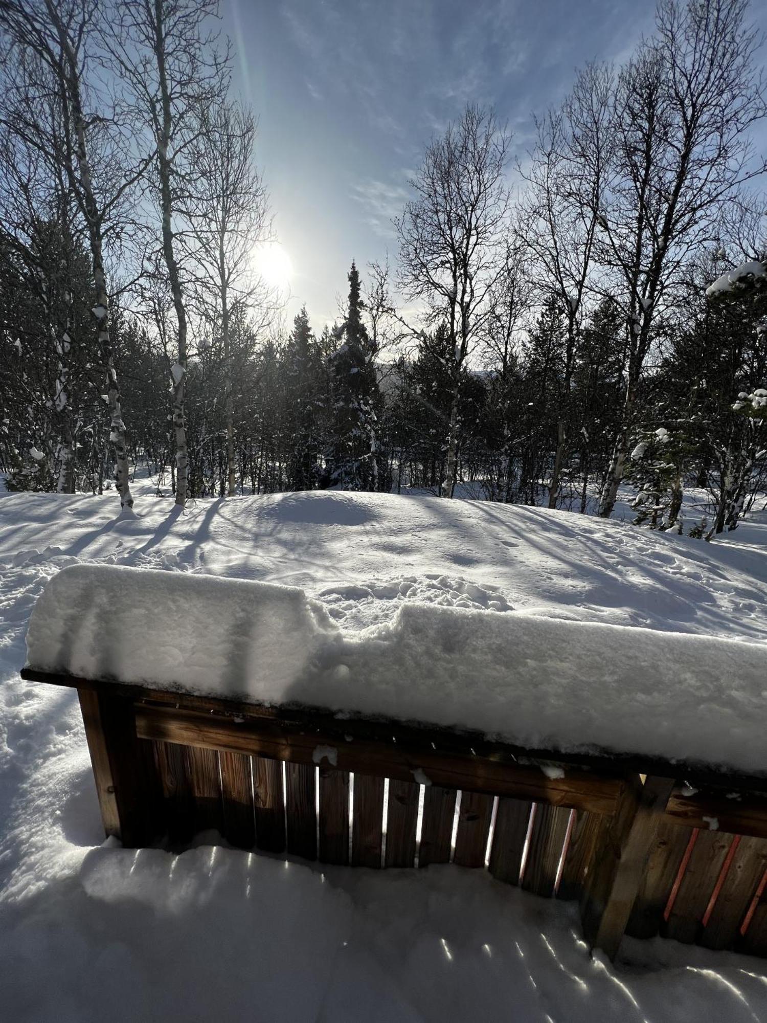 Koselig Hytte Med Usjenert Og Solrik Beliggenhet Geilo Extérieur photo