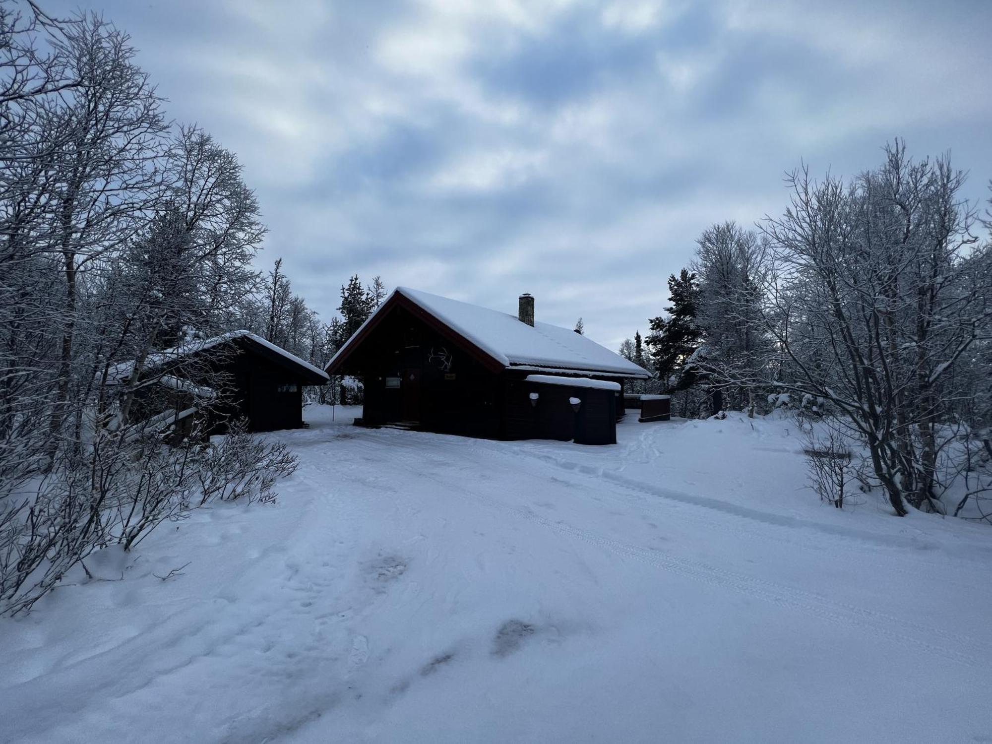 Koselig Hytte Med Usjenert Og Solrik Beliggenhet Geilo Extérieur photo