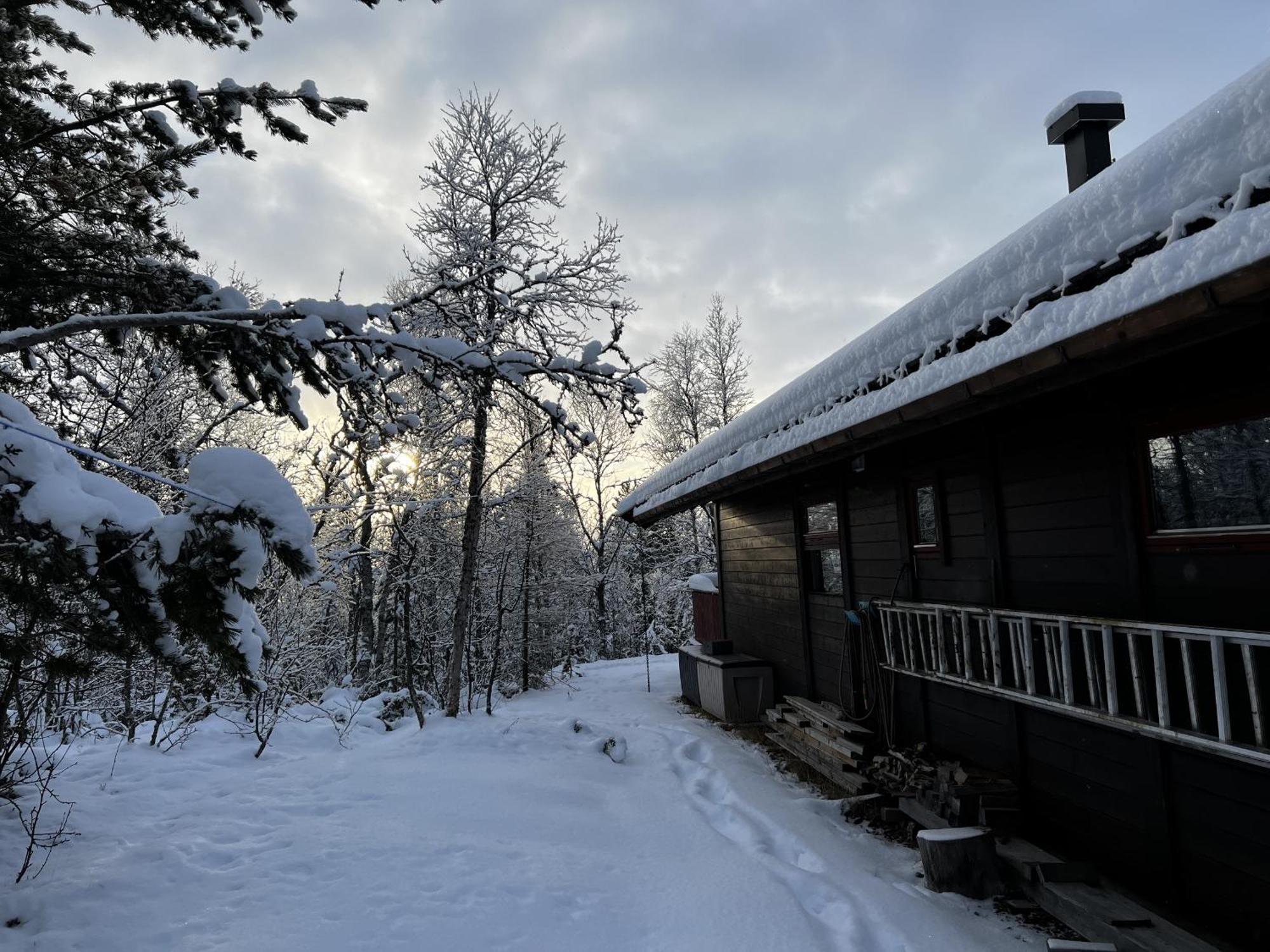 Koselig Hytte Med Usjenert Og Solrik Beliggenhet Geilo Extérieur photo